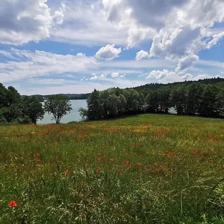 W Brodnicy Dolnej Brodnica Dolna