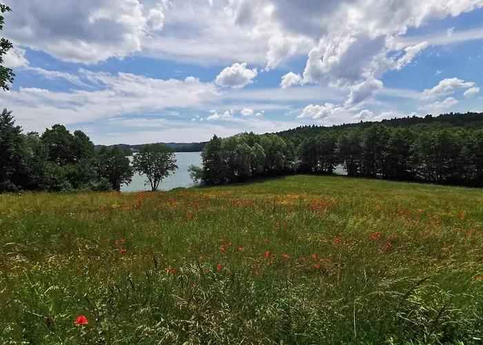 W Brodnicy Dolnej Brodnica Dolna