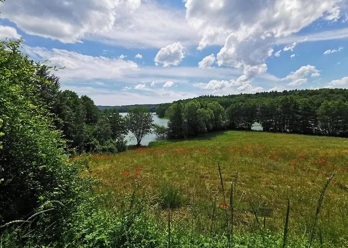 W Brodnicy Dolnej Brodnica Dolna